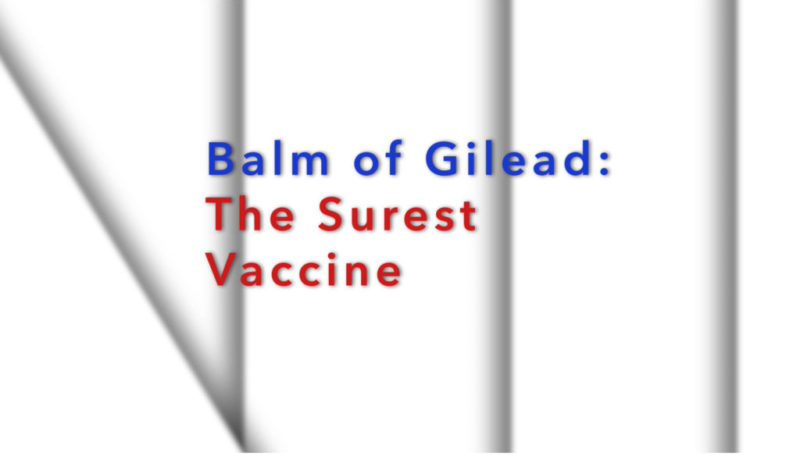 Balm of Gilead- The Surest Vaccine